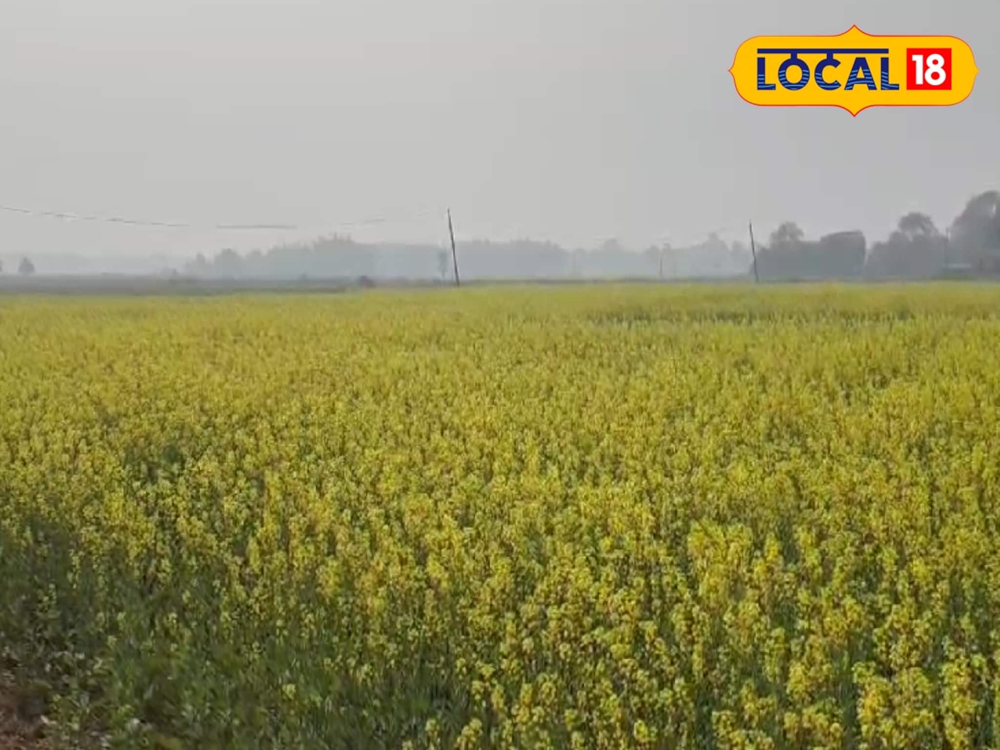 হাড় কাঁপানো ঠান্ডা, শীতের জমাটি আমেজ হুগলিতে!কবে থেকে বাড়বে তাপমাত্রা জানাল আবহাওয়া দফতর