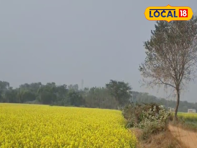 আলিপুর আবহাওয়া দফতরের পূর্বাভাস থেকে জানা যাচ্ছে, বৃহস্পতিবার দিনের সর্বনিম্ন তাপমাত্রা ছিল ১৫ ডিগ্রি সেলসিয়াস এবং সর্বোচ্চ তাপমাত্রা ২৭ ডিগ্রি সেলসিয়াসের কাছাকাছি থাকবে।