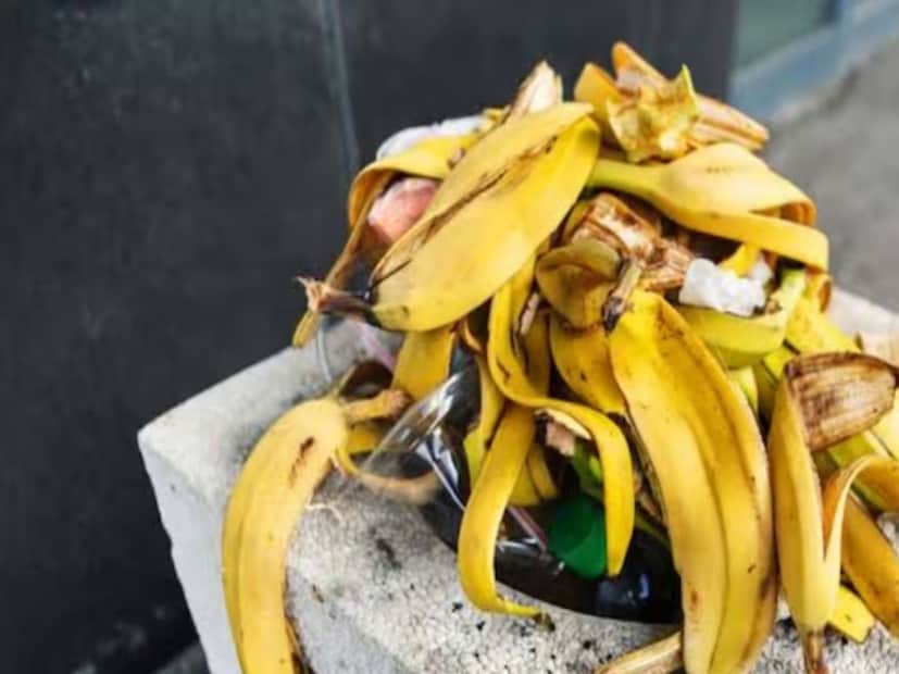 প্রথমটা হল কলার খোসা৷ কলার খোসা পটাশিয়াম সমৃদ্ধ, যা গোলাপ গাছের জন্য অত্যন্ত উপকারী। এগুলো ভাল করে রোদে শুকিয়ে গুঁড়ো করে অথবা জলে ভিজিয়ে সার হিসেবে ব্যবহার করা যেতে পারে। এটি গাছের বৃদ্ধি উন্নত করতে সাহায্য করে এবং কয়েক দিনের মধ্যে আরও বেশি এবং সতেজ গোলাপ ফুল ফোটে।