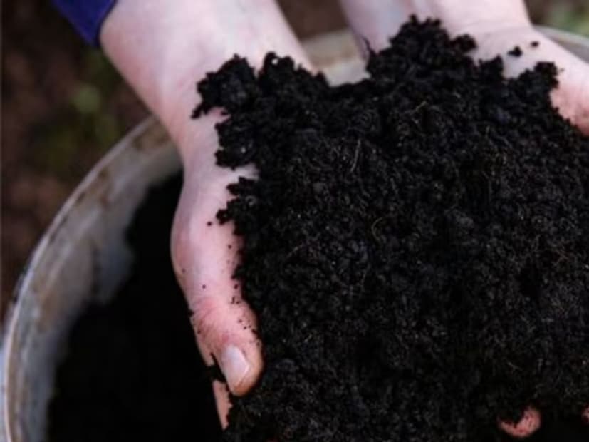 শেষে ব্যবহৃত চা পাতা৷ চা পাতা নাইট্রোজেনের একটি ভাল উৎস এবং গোলাপ গাছকে সুস্থ রাখতে সাহায্য করে। এগুলি মাটিতে মিশিয়ে অথবা জলে ভিজিয়ে ব্যবহার করা যেতে পারে। অনেক বাগান প্রেমী নিয়মিত প্রাকৃতিক সার হিসেবে এগুলি ব্যবহার করেন।