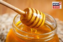 Pure Honey Test: মধুতে চিনি মেশানো আছে না নেই...মাত্র ১০ সেকেন্ডেই হবে পরিষ্কার! রয়েছে ছোট্ট একটা ট্রিক