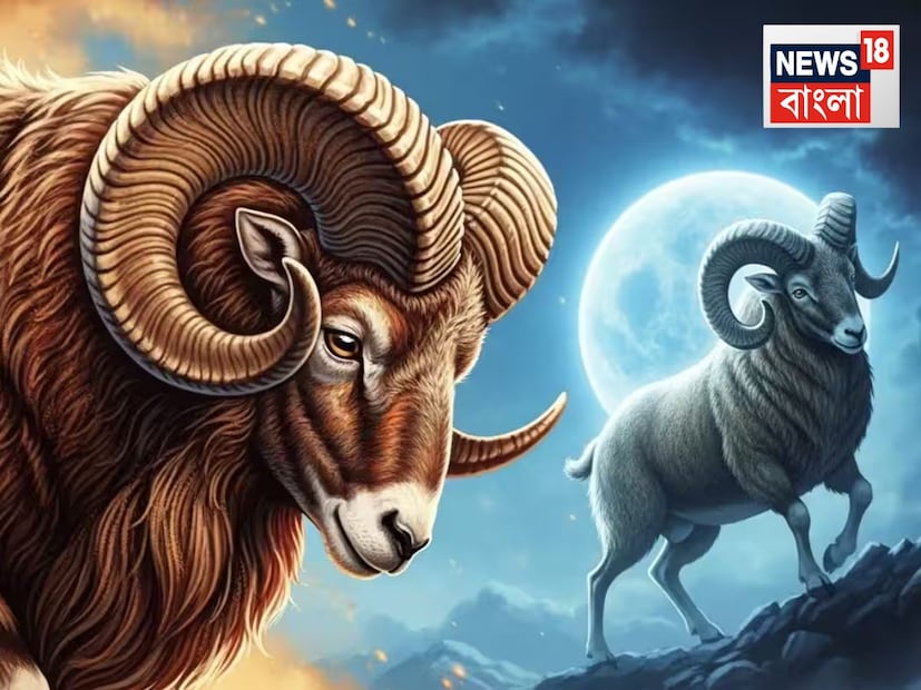 মেষ: মেষ রাশির জন্য সূর্য পঞ্চম ঘরে রাজত্ব করেন এবং নবম ঘরে গমন করবেন। ধনু রাশিতে সূর্যের গোচর মেষ রাশির ভাগ্য বৃদ্ধি করবে এবং ধর্মীয় কার্যকলাপে আগ্রহ জাগিয়ে তুলবে। ভাগ্যের নবম ঘরে গমনের ফলে সূর্যের প্রভাব আগের তুলনায় তুলনামূলকভাবে ভাল ফলাফল প্রদান করবে। যখন কেউ নিজের মনোমুগ্ধকর এবং হাস্যরসাত্মক দিকটি প্রকাশ করবে, তখন মেজাজ হালকা হবে।