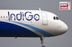 ‘অত্যন্ত ক্ষমাপ্রার্থী,’ DGCA-র শো কজে’র উত্তর দিল ইন্ডিগো! কী কারণে দুর্ভোগ জানাল কারণ