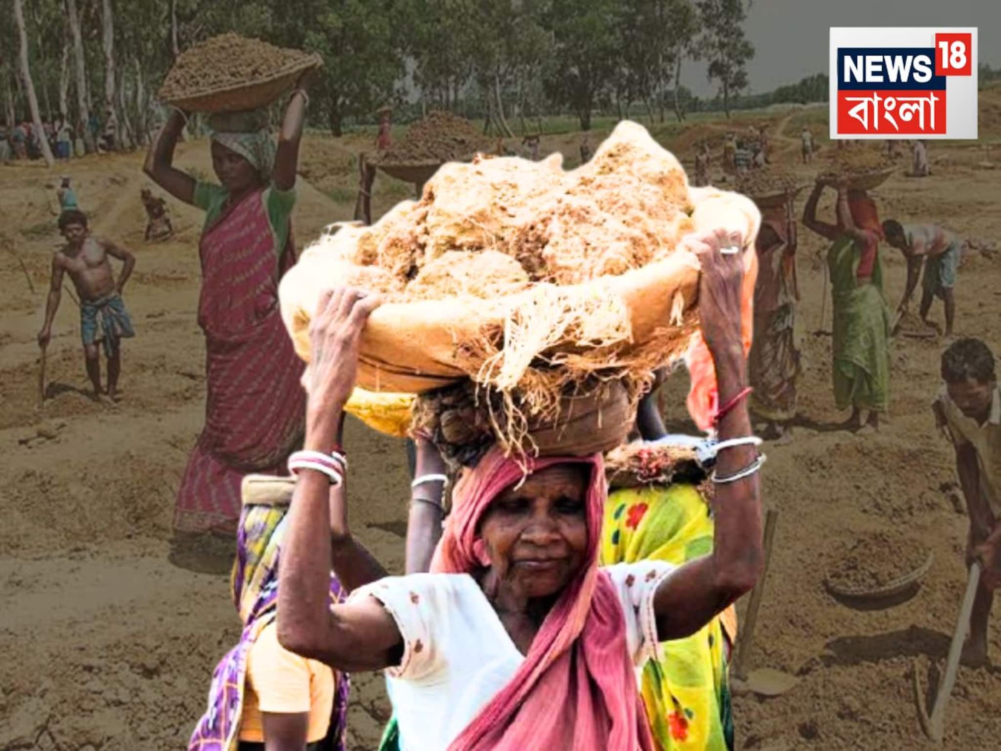 এখন আরও বেশি টাকা, আরও বেশি দিন কাজ! ঠিক কোন কোন ক্ষেত্রে বদলাচ্ছে ১০০ দিনের কাজ প্রকল্প?