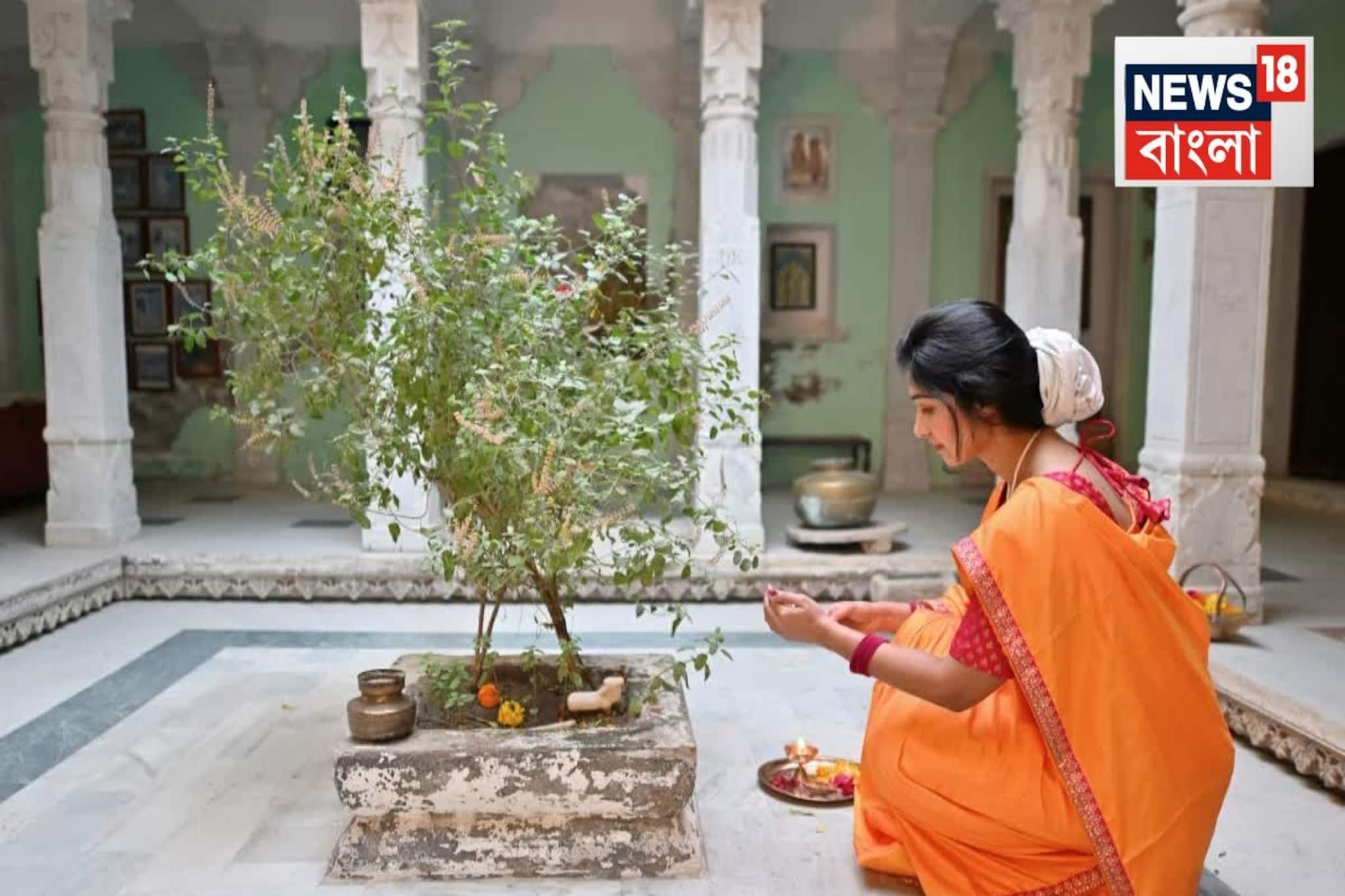 সংসারে টেনে আনে অর্থ কষ্ট’ মাসের এই দু’দিন তুলসী গাছে জল দেওয়া মারাত্মক ‘ভুল’