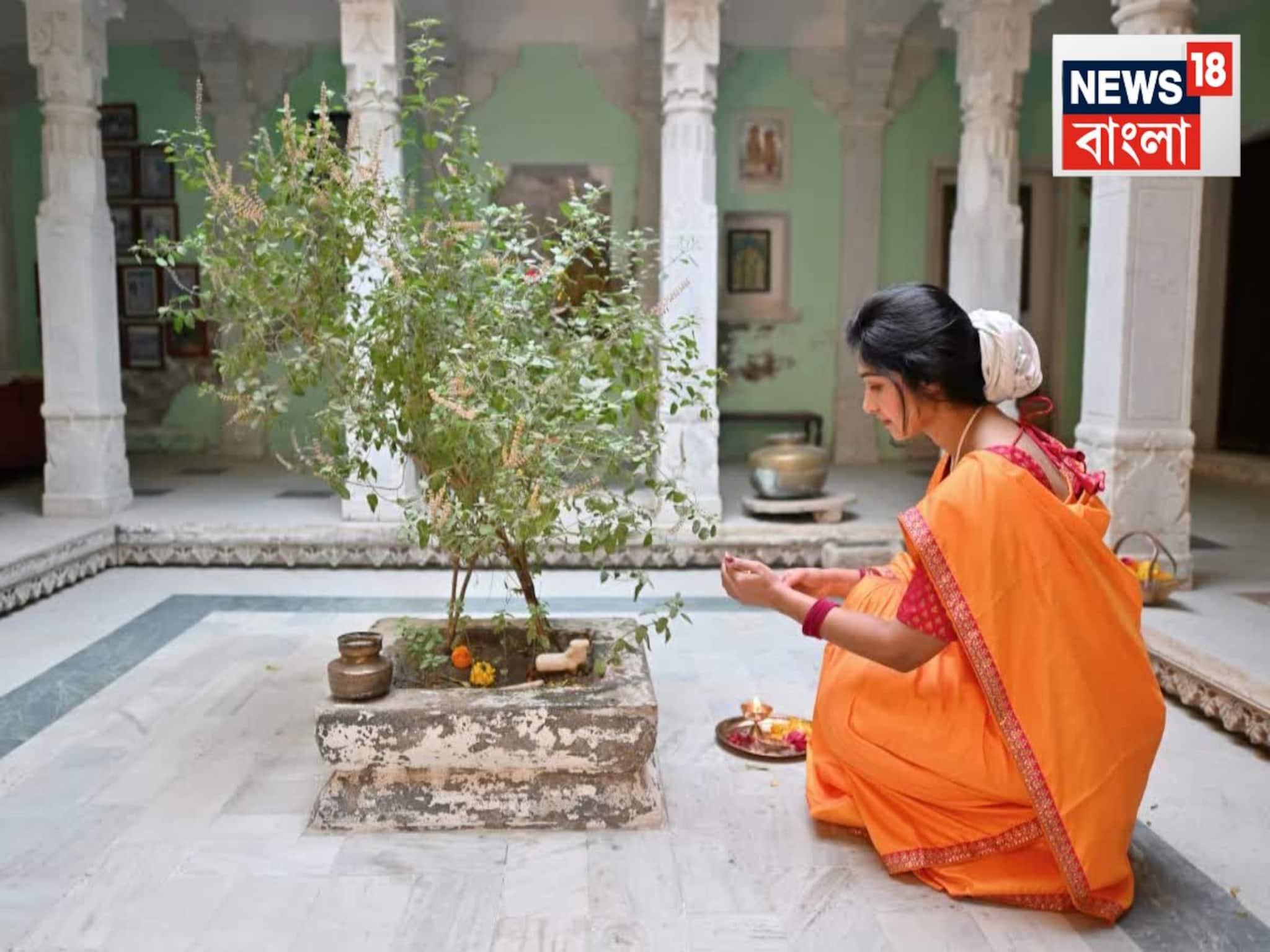 সংসারে টেনে আনে অর্থ কষ্ট’ মাসের এই দু’দিন তুলসী গাছে জল দেওয়া মারাত্মক ‘ভুল’