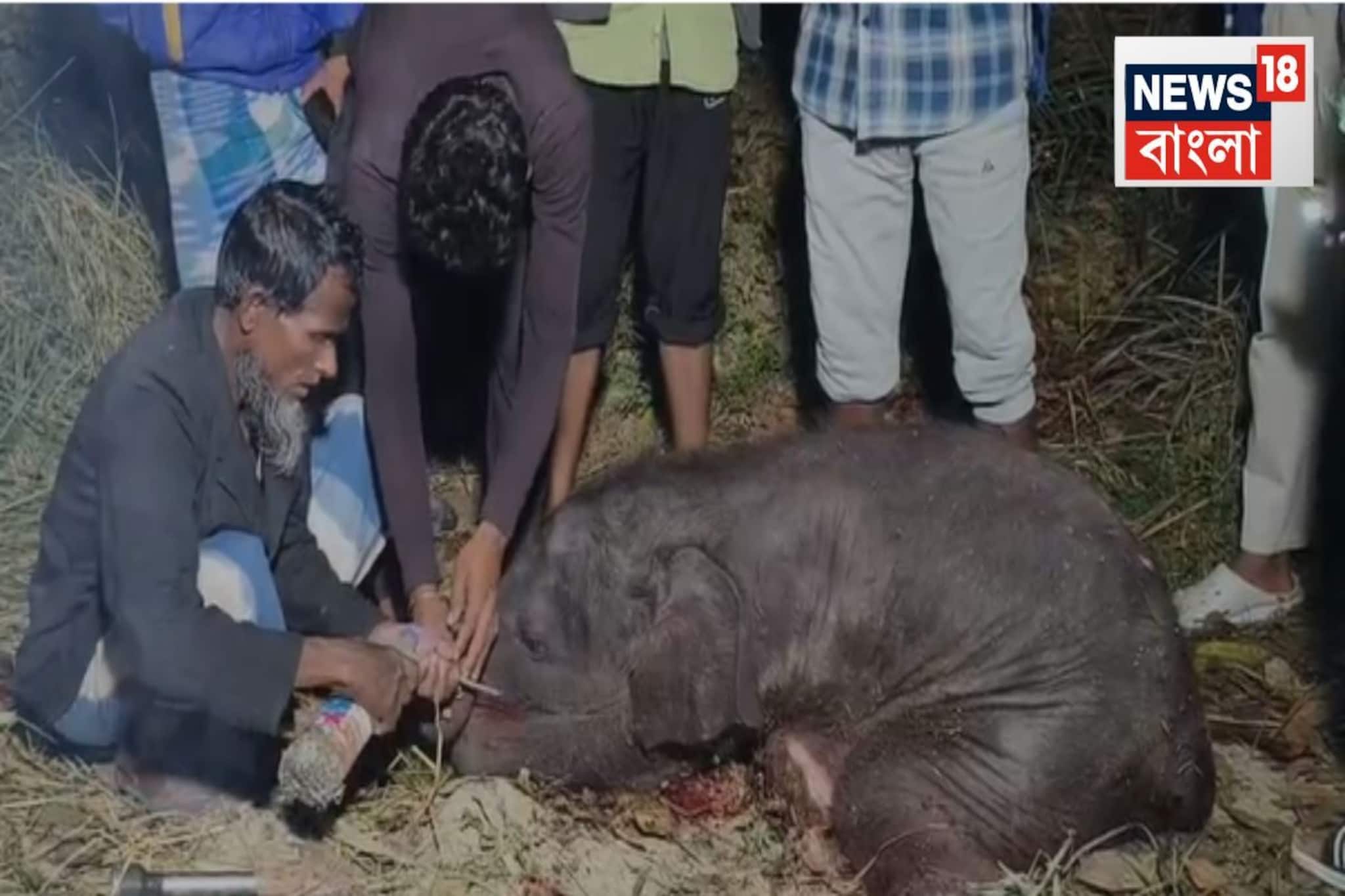 শেষ মুহূর্তে এমারজেন্সি ব্রেক! রাজধানী এক্সপ্রেসের সঙ্গে ধাক্কা..ছিন্নভিন্ন হয়ে গেল ৭ হাতি