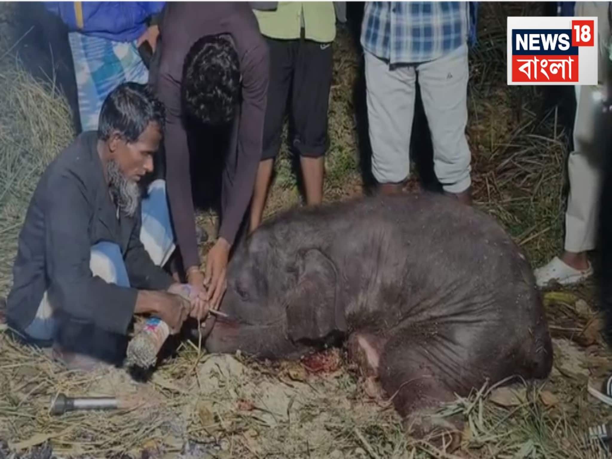 শেষ মুহূর্তে এমারজেন্সি ব্রেক! রাজধানী এক্সপ্রেসের সঙ্গে ধাক্কা..ছিন্নভিন্ন হয়ে গেল ৭ হাতি