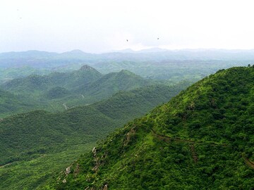 আরাবল্লী না থাকলে...থর মরভূমি পৌঁছে যেতে পারে নয়াদিল্লি! কোথায় শঙ্কা, কোথায় আশ্বাস