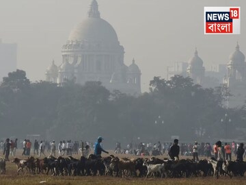 কাঁপিয়ে দেবে শীত! ৩১ আর ১ তারিখ কত থাকছে তাপমাত্রা? পিকনিক-আউটিংয়ের আগে থাকুন অ্যালার্ট