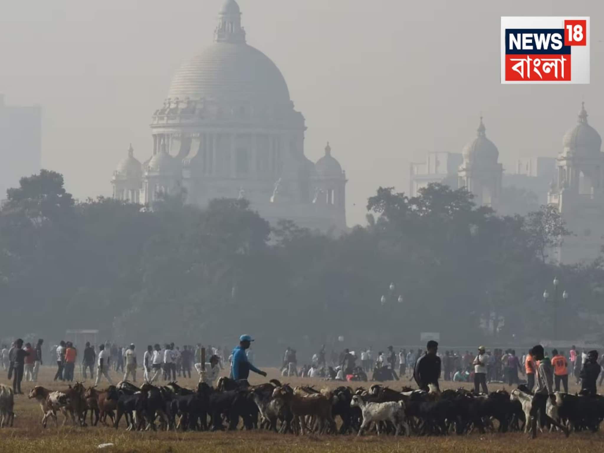 কাঁপিয়ে দেবে শীত! ৩১ আর ১ তারিখ কত থাকছে তাপমাত্রা? পিকনিক-আউটিংয়ের আগে থাকুন অ্যালার্ট