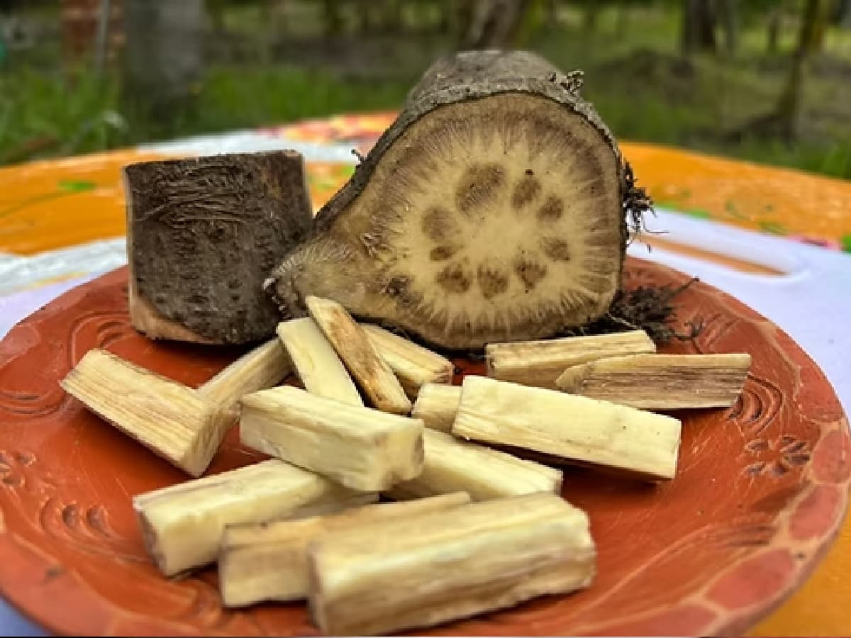 কাটার পর এমন দেখতে