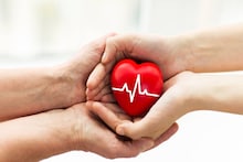 Heart Attack Prediction: কোমরের মাপ বলে দিতে পারে আপনার হার্টের অবস্থা কেমন! মহিলা-পুরুষের কোমরের সঠিক মাপ কত জানুন