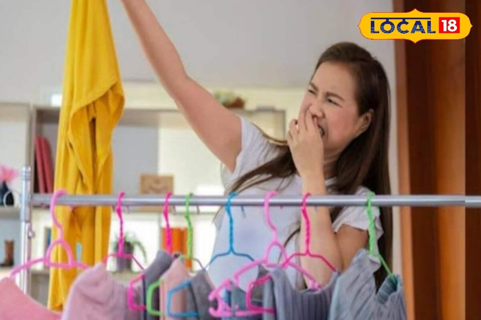 আলমারি খুললেই দুর্গন্ধ? শীতের কাপড়ের বাজে গন্ধ দূর করতে এই দেশি জিনিসগুলোই কাজে লাগান!