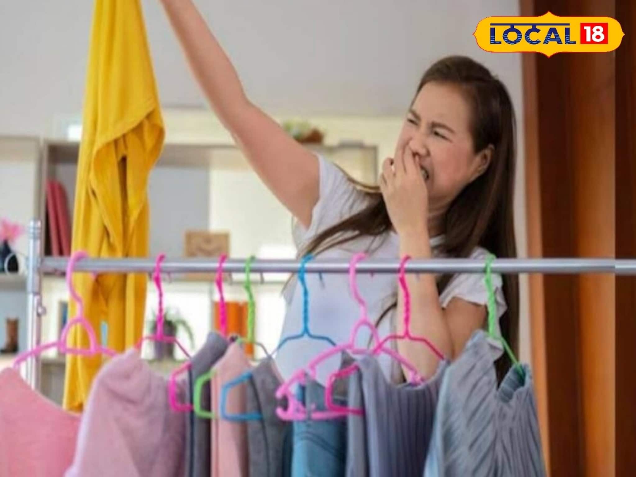 আলমারি খুললেই দুর্গন্ধ? শীতের কাপড়ের বাজে গন্ধ দূর করতে এই দেশি জিনিসগুলোই কাজে লাগান!