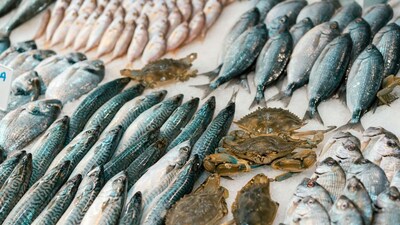 মাছের সঙ্গে কী কী খাবেন না জানুন... 