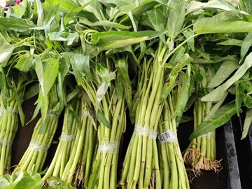 ৬০ বছরেও টানটান যৌবন! এই সবুজ পাতায় শারীরিক শক্তি হবে দ্বিগুণ! এই শাক ভাজা খেলে আপনি রাজা