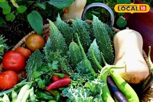 Kitchen Gardening :কিচেন গার্ডেন করতে চান? ব্যালকনিতে রোদের ভুল হিসেবেই নষ্ট হচ্ছে গাছ!