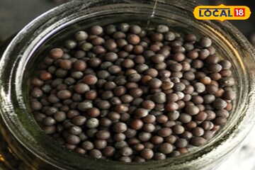 কোষ্ঠকাঠিন্য, বদহজম থেকে জয়েন্টের ব্যথা কমানো, সর্ষে দানায় বছরভর থাকুন সুস্থ