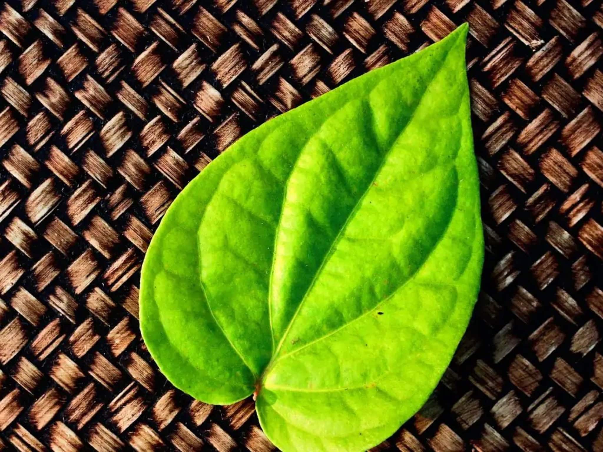 সস্তার পান পাতাতে লাখ টাকার ওষুধ, নিমেষে গায়েব করে গ্যাস-অ্যাসিডিটি থেকে কোষ্ঠকাঠিন্য...