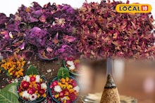 ফেলে দেবেন না পুজোর ফুল! ঘরে বসেই তৈরি করুন দেশি ধূপবাতি, মন মাতানো ঘ্রাণে ভরবে ঘর