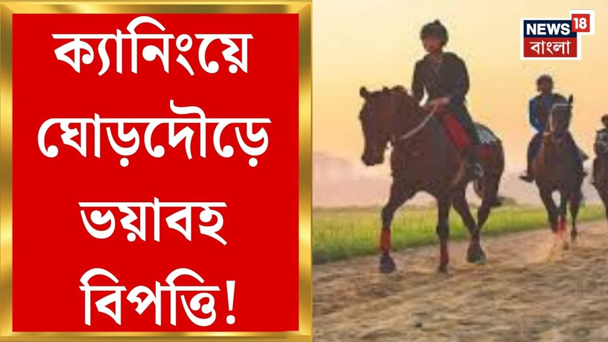 আচমকা কামড়, ছুটন্ত ঘোড়ার মুখে ঝুলছে নাবালক, আতঙ্ক আমতলায়