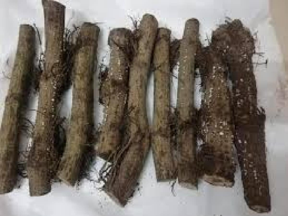 বাজারে এভাবে পাওয়া যায়