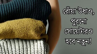 দামি উলের পোশাক থেকে উঠছে রোঁয়া? চিরুনি, সেলোটেপ...৫ হ্যাক কাজে লাগালেই কেল্লাফতে! পুরনো সোয়েটার, মাফলারও হয়ে যাবে নতুন 