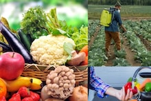 Pesticides in Fruits and Vegetables: 'পেসটিসাইড'-এ ক্যানসারের বীজ, কমছে প্রজনন ক্ষমতা,কোন ফল ও সবজিতে কীটনাশক সবচেয়ে বেশি? কীভাবে দূর করবেন? জানাচ্ছে গবেষণা