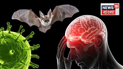 সংক্রমিত ব্যক্তি ২৪ ঘণ্টা থেকে ৪৮ ঘণ্টার মধ্যে তাঁর মস্তিষ্কের সংক্রমিত হওয়ার ঘটনা তৈরি হয়৷ অসহ্য মাথার ব্যাথা, শরীরের ওপর নিয়ন্ত্রণ হারানোর মতো ঘটনা ঘটে৷ এনকেফালাইটিস হয়ে যেতে পারে৷ এরপরেই দ্রুত ১-২ দিনের মধ্যে পরিস্থিতির অবনতি হয়৷