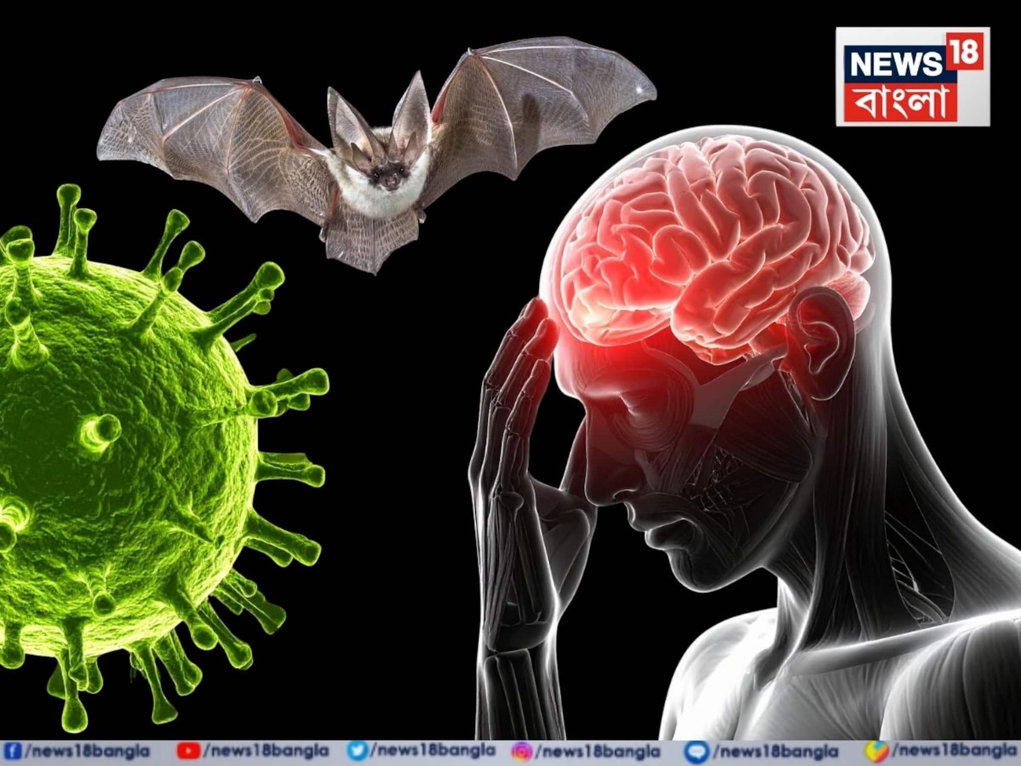 Nipah Virus:  হাত-পা বেঁকে যাওয়া, মস্তিষ্কের সমতা হারানো, নিপা হয়ে উঠতে পারে মারণ