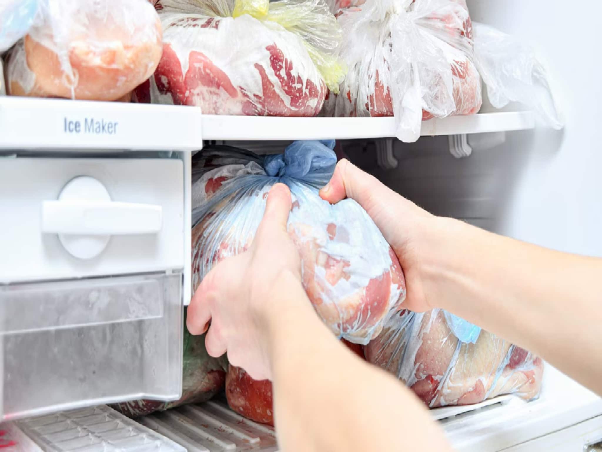 Fridge Tips: মাছ ও মাংস ফ্রিজে কত দিন রাখা নিরাপদ? স্বাস্থ্য বাঁচাতে হলে 'সময়' জানুন, রইল বিশেষজ্ঞের টিপস