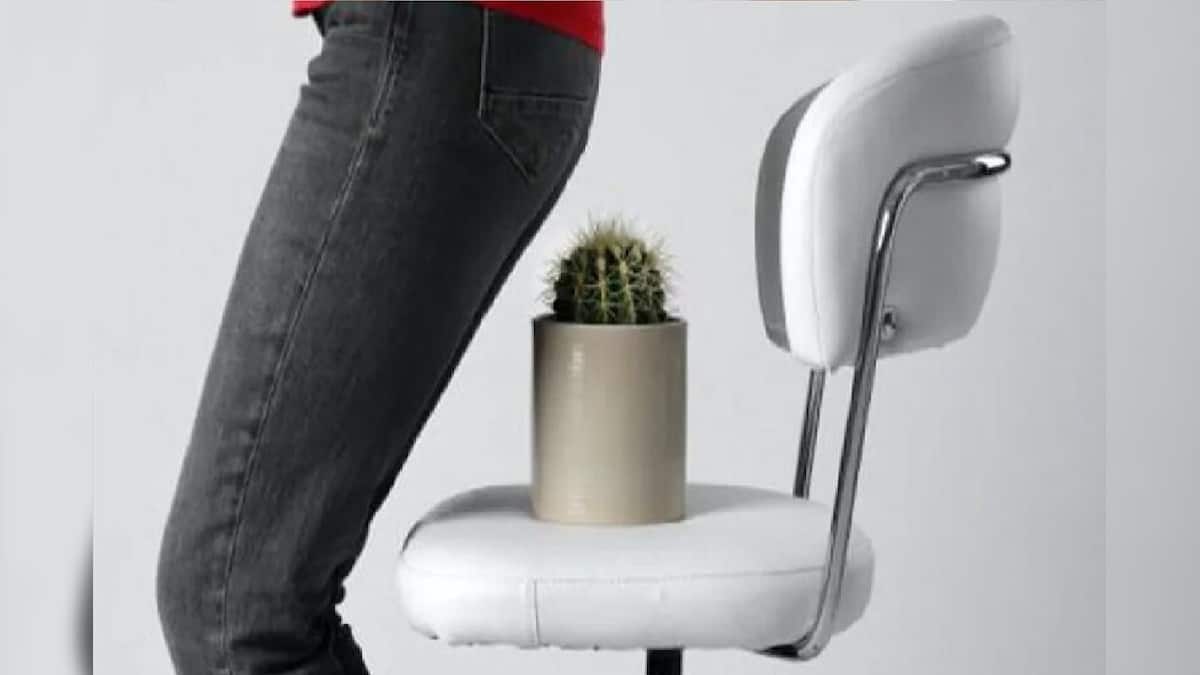 Piles Problem: খাওয়াদাওয়ায় নিয়ন্ত্রণ আনলেই পাইলস-এর থেকে রেহাই মেলে, জানুন ডাক্তারের জরুরি টিপস