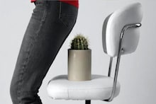 Piles Problem: খাওয়াদাওয়ায় নিয়ন্ত্রণ আনলেই পাইলস-এর থেকে রেহাই মেলে, জানুন ডাক্তারের জরুরি টিপস