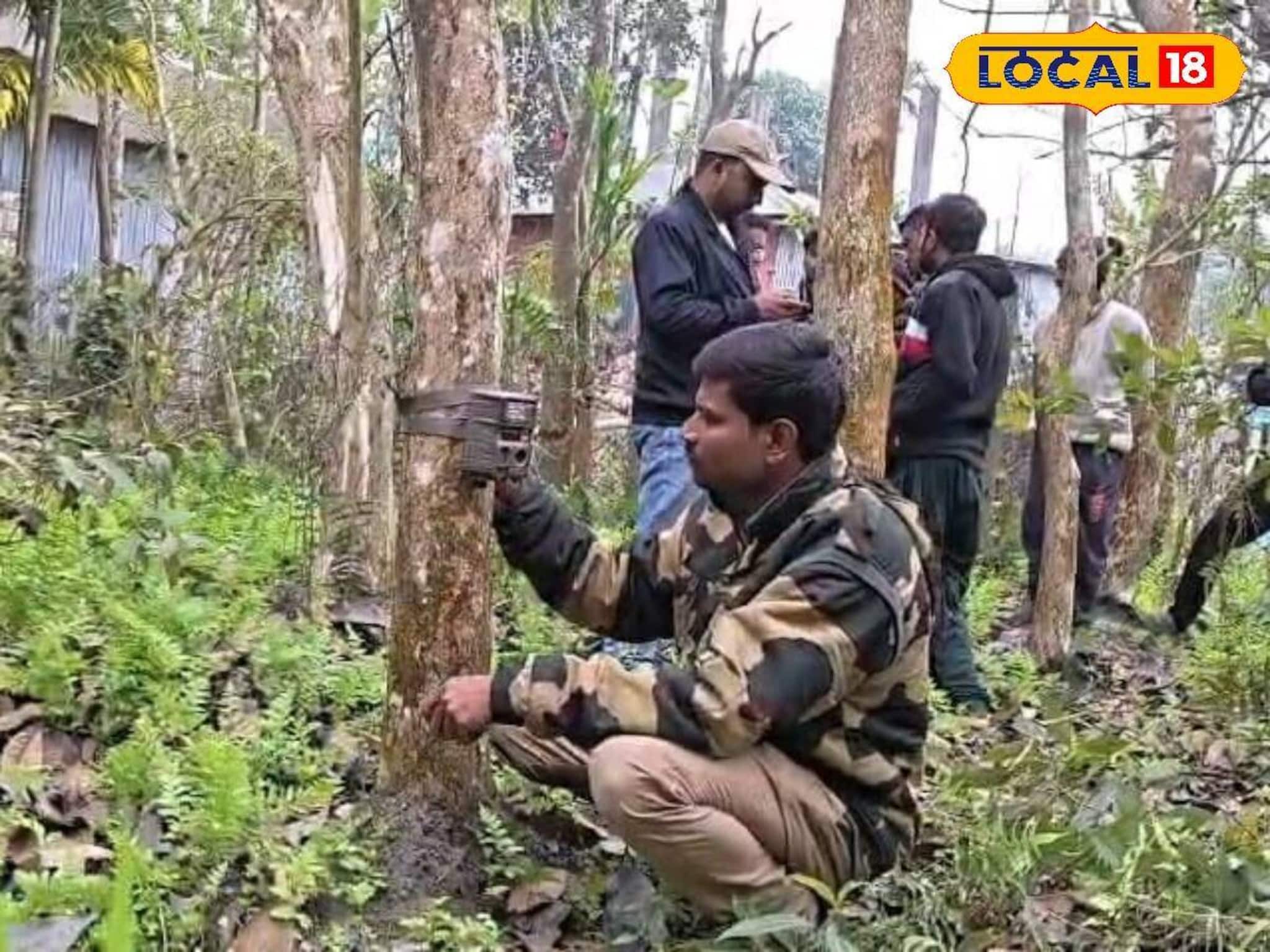 Alipurduar News: রাত বাড়তেই অদ্ভুত আওয়াজ, এলাকা থেকে হারিয়ে যাচ্ছে একের পর এক কুকুর! আলিপুরদুয়ারে লেপার্ড আতঙ্ক