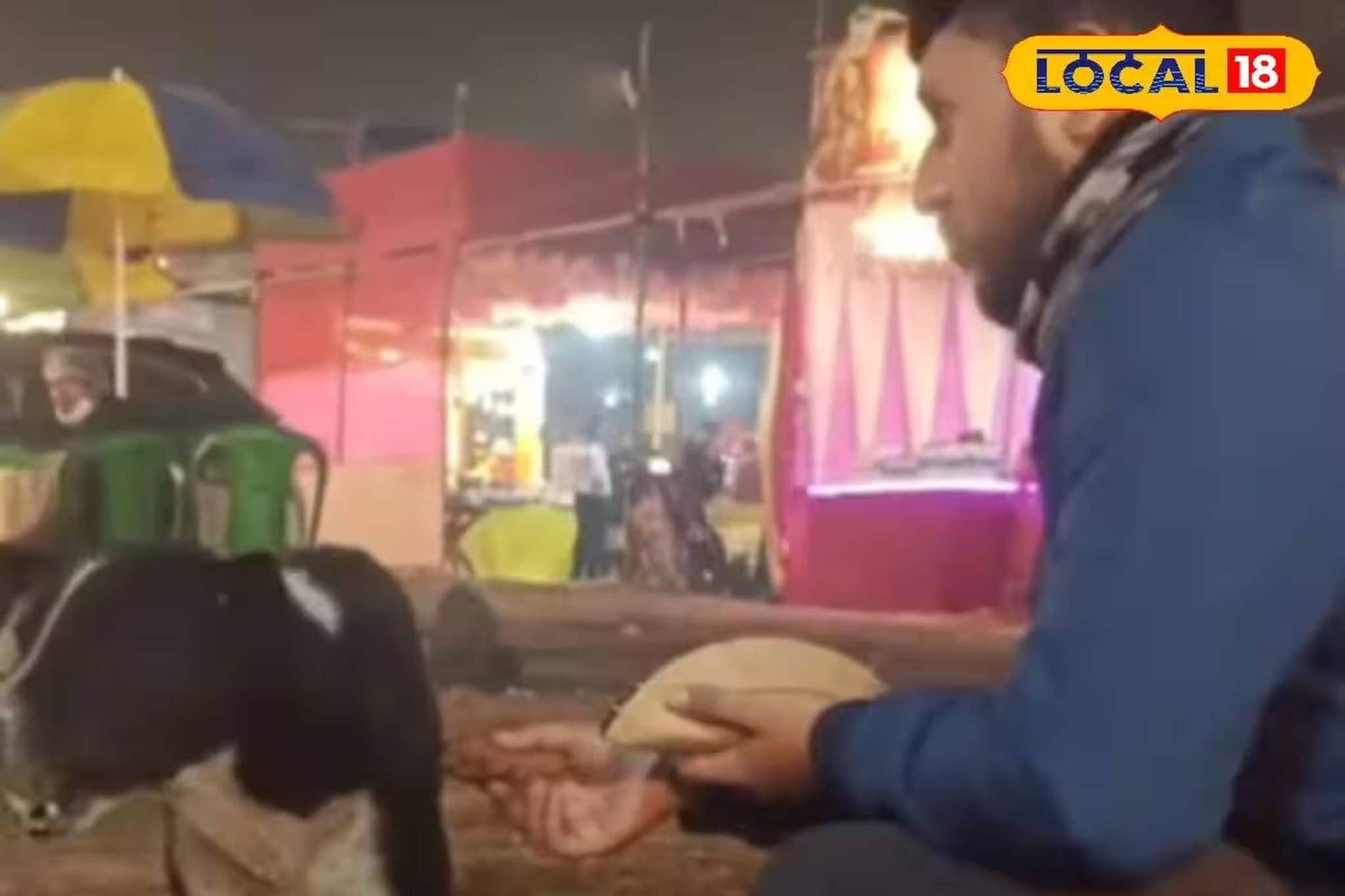 স্টলের বেঁচে যাওয়া খাবারে ভরুক কালু, ভুলুদের পেট! বিশ্ব ডুয়ার্স উৎসবে মানবিক উদ্যোগ