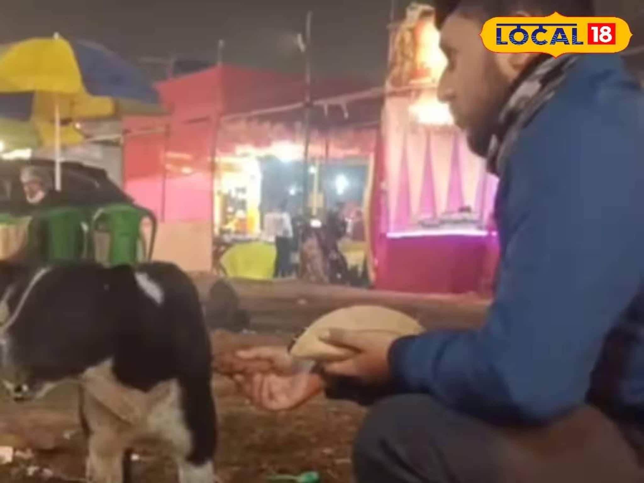 স্টলের বেঁচে যাওয়া খাবারে ভরুক কালু, ভুলুদের পেট! বিশ্ব ডুয়ার্স উৎসবে মানবিক উদ্যোগ স্টলের বেঁচে যাওয়া খাবারে ভরুক কালু, ভুলুদের পেট! বিশ্ব ডুয়ার্স উৎসবে মানবিক উদ্যোগ