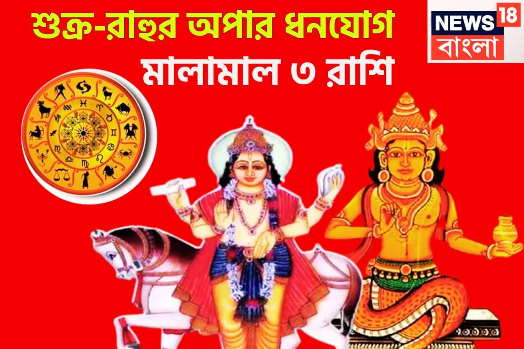 শুক্র-রাহুর শক্তিশালী অপার ধনযোগ! বিশাল অঙ্কের টাকা, এলাহি আয়োজন, রাজৈশ্বর্যে ভরপুর