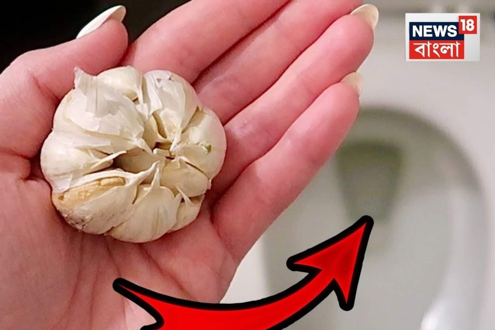 কোমোড-এ রসুন ফেলে ফ্লাশ করছে লোকজন! জানেন কেন এটা হচ্ছে, পিছনের কারণ কী? আদৌ পরিষ্কার হয়