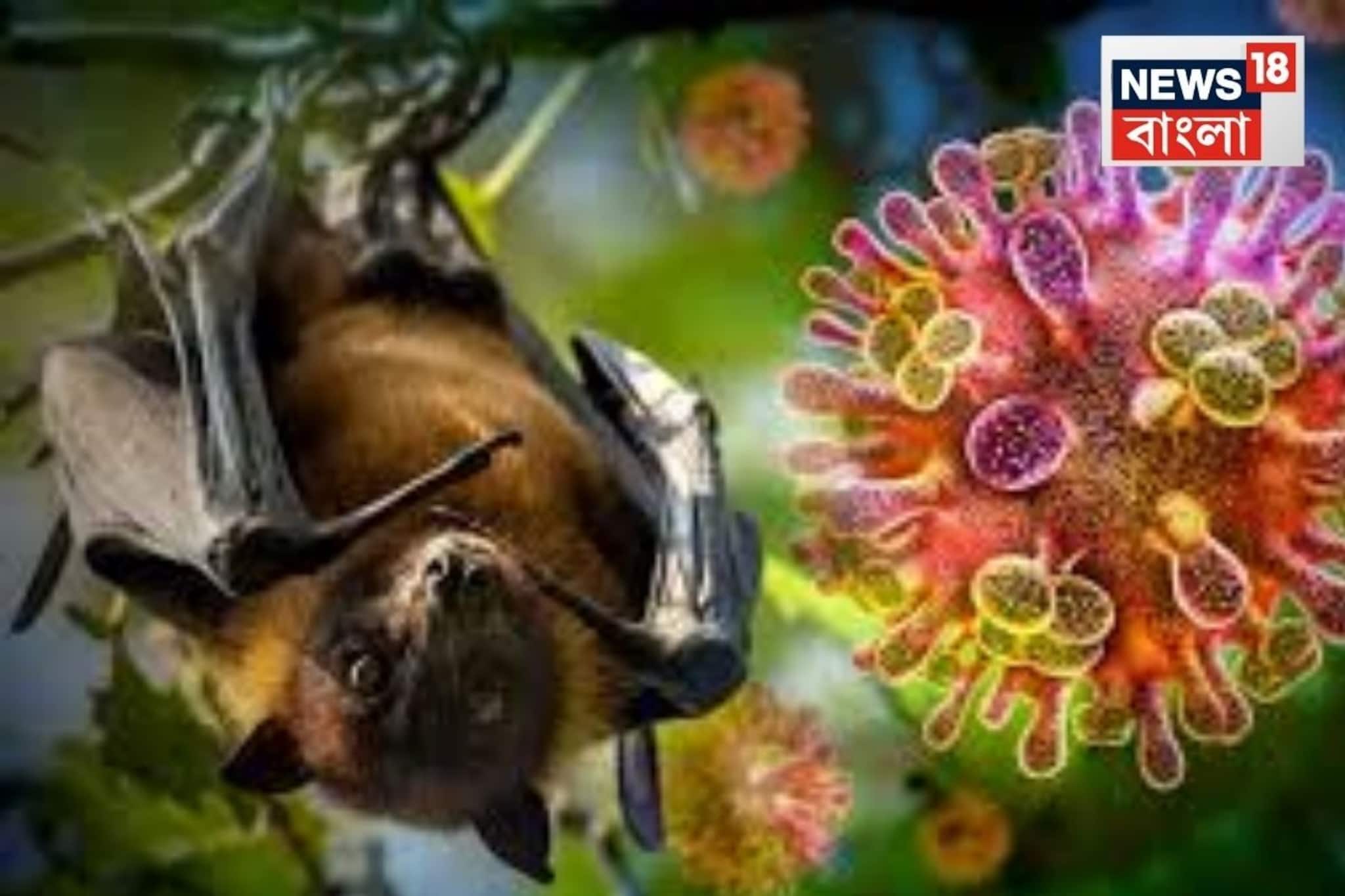 সর্বত্র মাস্ক পরার দরকার নেই, হাসপাতালেই মাস্ক পরুন! আতঙ্কিত না হওয়ার পরামর্শ ICMR কর্তার