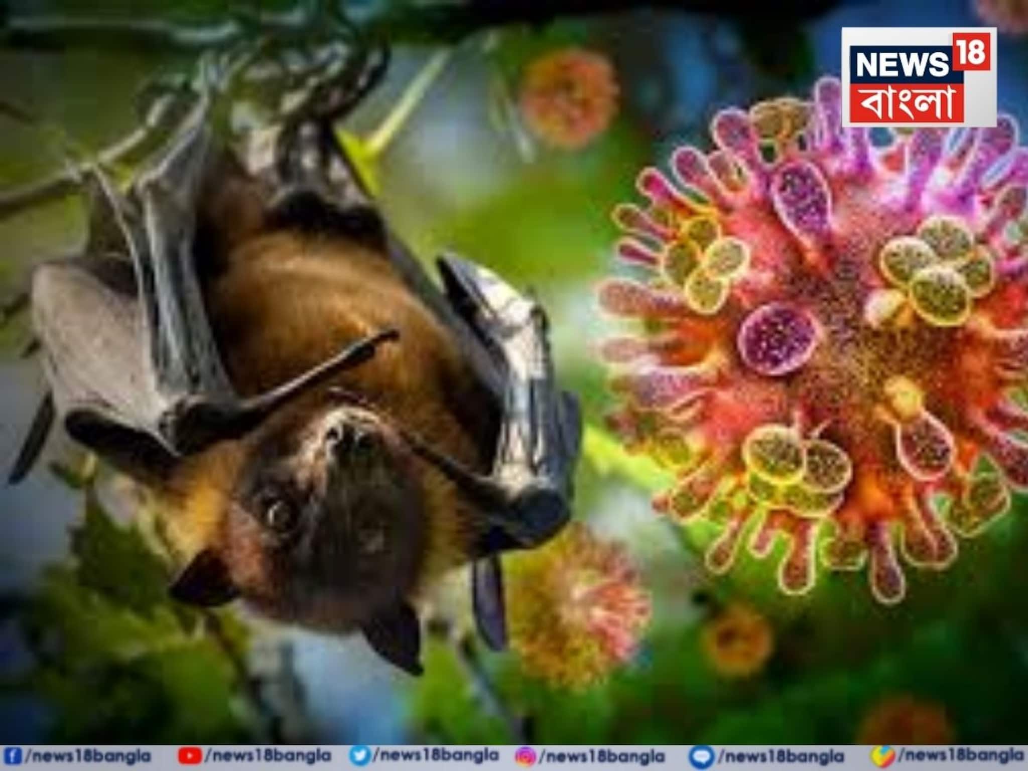 সর্বত্র মাস্ক পরার দরকার নেই, হাসপাতালেই মাস্ক পরুন! আতঙ্কিত না হওয়ার পরামর্শ ICMR কর্তার সর্বত্র মাস্ক পরার দরকার নেই, হাসপাতালেই মাস্ক পরুন! আতঙ্কিত না হওয়ার পরামর্শ ICMR কর্তার