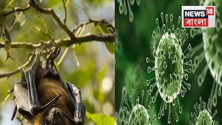 এরই মধ্যে নিপা ভাইরাসে আক্রান্তদের চিকিৎসার জন্য নিজেদের প্রস্তুত রাখছে বর্ধমান মেডিক্যাল কলেজ হাসপাতাল। ইতিমধ্যেই এক রোগীর এই হাসপাতালে চিকিৎসা হয়েছে, যিনি নিপা ভাইরাসে আক্রান্ত বলে নিশ্চিত করা হয়েছে। এরপর আরও রোগী এলে তাদের চিকিৎসার জন্য পরিকাঠামো তৈরি রাখা হচ্ছে বলে হাসপাতাল সূত্রে খবর মিলেছে। তবে এখনও রাজ্য স্বাস্থ্য দফতর থেকে তেমন কোনও নির্দেশ আসেনি। নির্দেশ এলে গাইড লাইন মেনে পরিকাঠামো তৈরি রাখা হবে বলে মেডিক্যাল কলেজ কর্তৃপক্ষ সূত্রে জানা গিয়েছে।