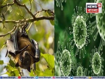 সর্বত্র মাস্ক পরার দরকার নেই, হাসপাতালেই মাস্ক পরুন! আতঙ্কিত না হওয়ার পরামর্শ ICMR কর্তার সর্বত্র মাস্ক পরার দরকার নেই, হাসপাতালেই মাস্ক পরুন! আতঙ্কিত না হওয়ার পরামর্শ ICMR কর্তার