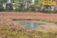 Bankura Puabagan Migratory Birds: বিদায়বেলায় শীত, তবুও ফিরল না 'হুইসেল ডাক'! নিঃশব্দ বাঁকুড়ার পুয়াবাগান, মন খারাপ সকলের