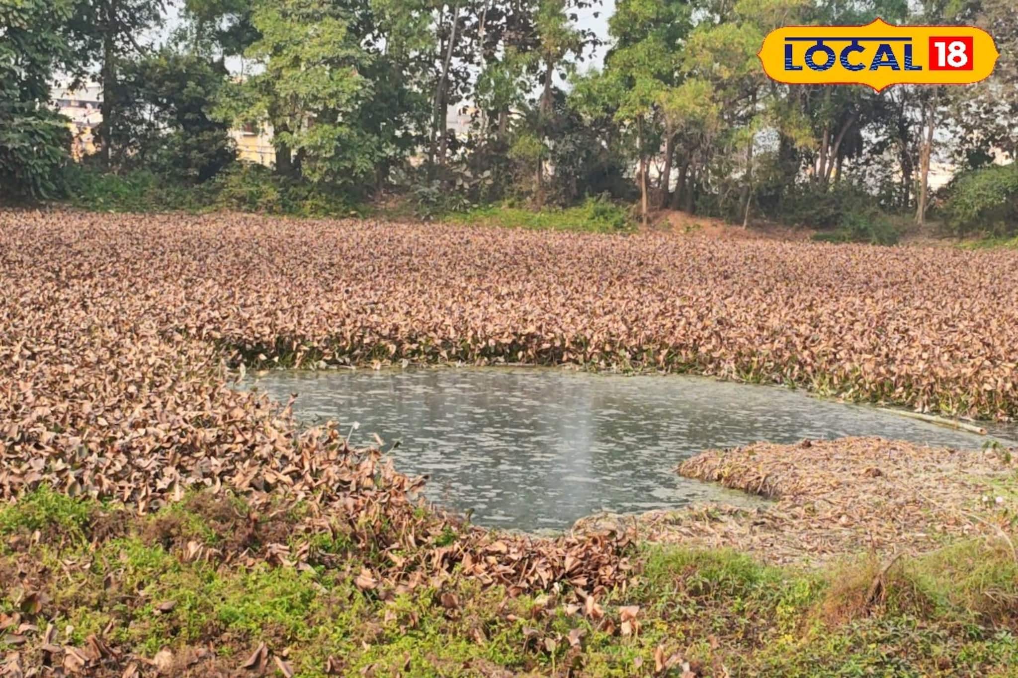 বিদায়বেলায় শীত, তবুও ফিরল না 'হুইসেল ডাক'! নিঃশব্দ বাঁকুড়ার পুয়াবাগান, মন খারাপ সকলের