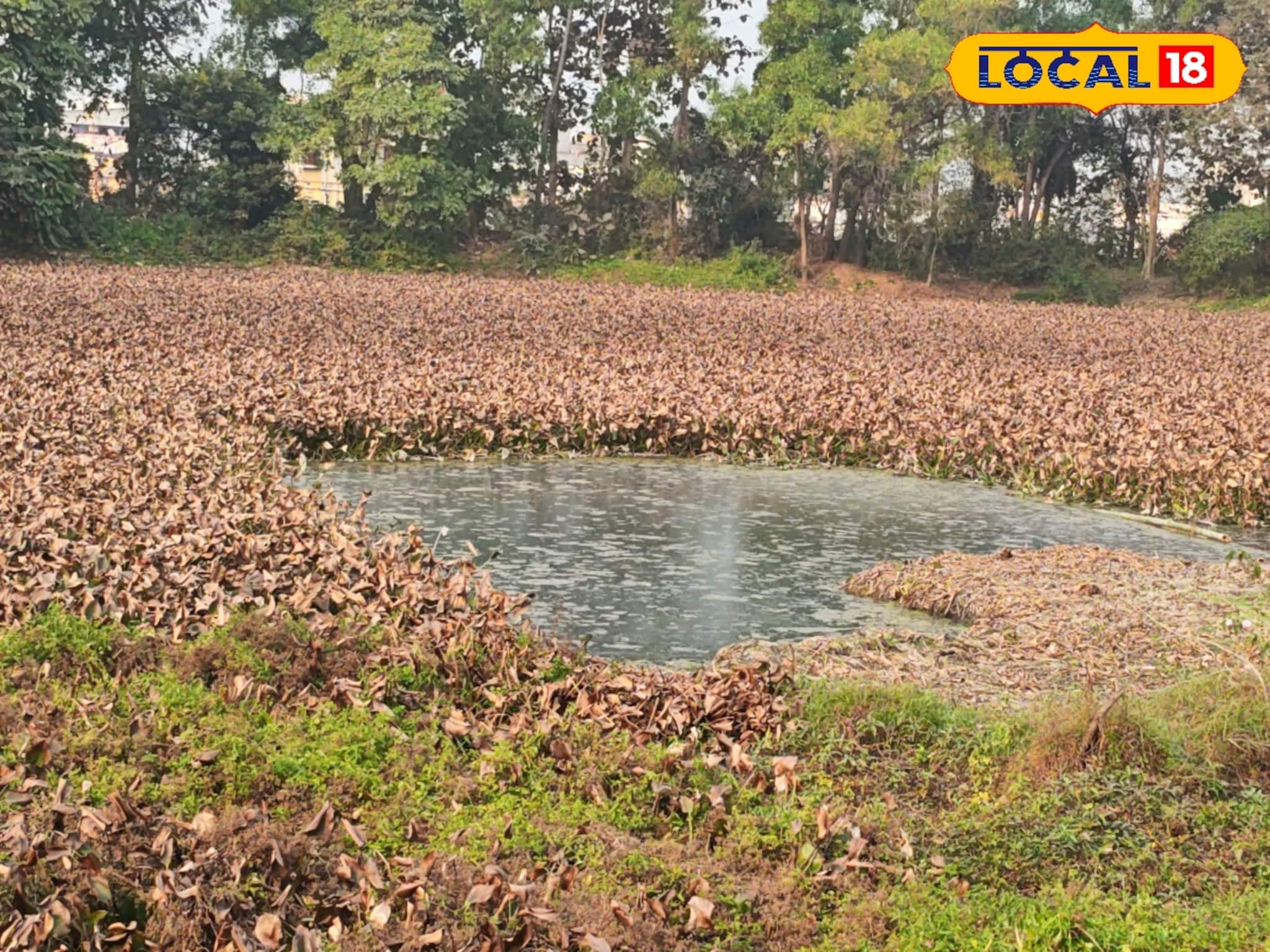 বিদায়বেলায় শীত, তবুও ফিরল না 'হুইসেল ডাক'! নিঃশব্দ বাঁকুড়ার পুয়াবাগান, মন খারাপ সকলের বিদায়বেলায় শীত, তবুও ফিরল না 'হুইসেল ডাক'! নিঃশব্দ বাঁকুড়ার পুয়াবাগান, মন খারাপ সকলের