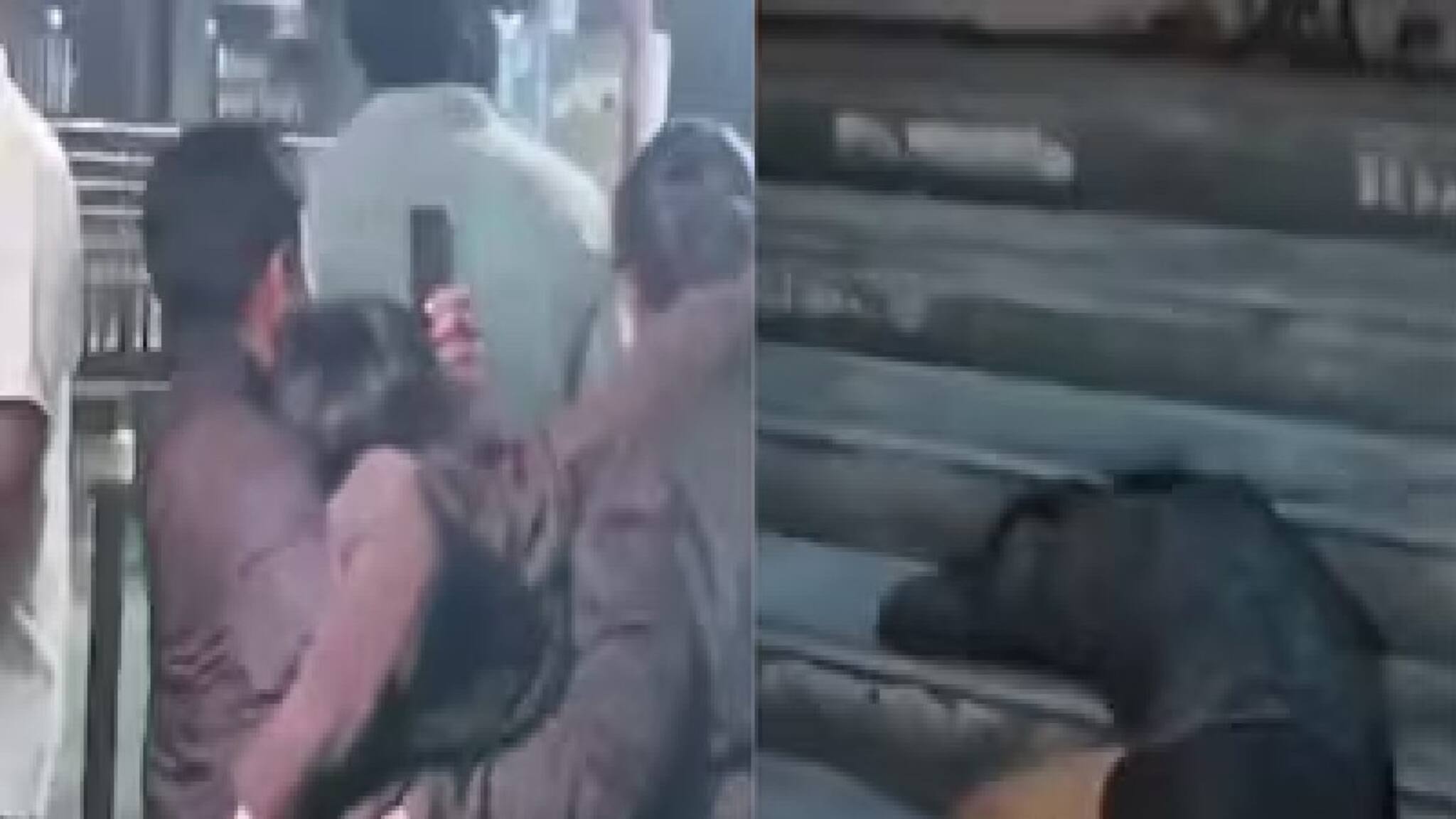 New Year 2026: নিউ ইয়ারের পার্টিতে এমন মদ্যপান? রাস্তায় গড়াতে গড়াতে বাড়ি ফিরল 'বেহুঁশ' ছেলেমেয়েরা! কেউ আবার সিঁড়িতেই ঘুমিয়ে পড়ল, দেখুন