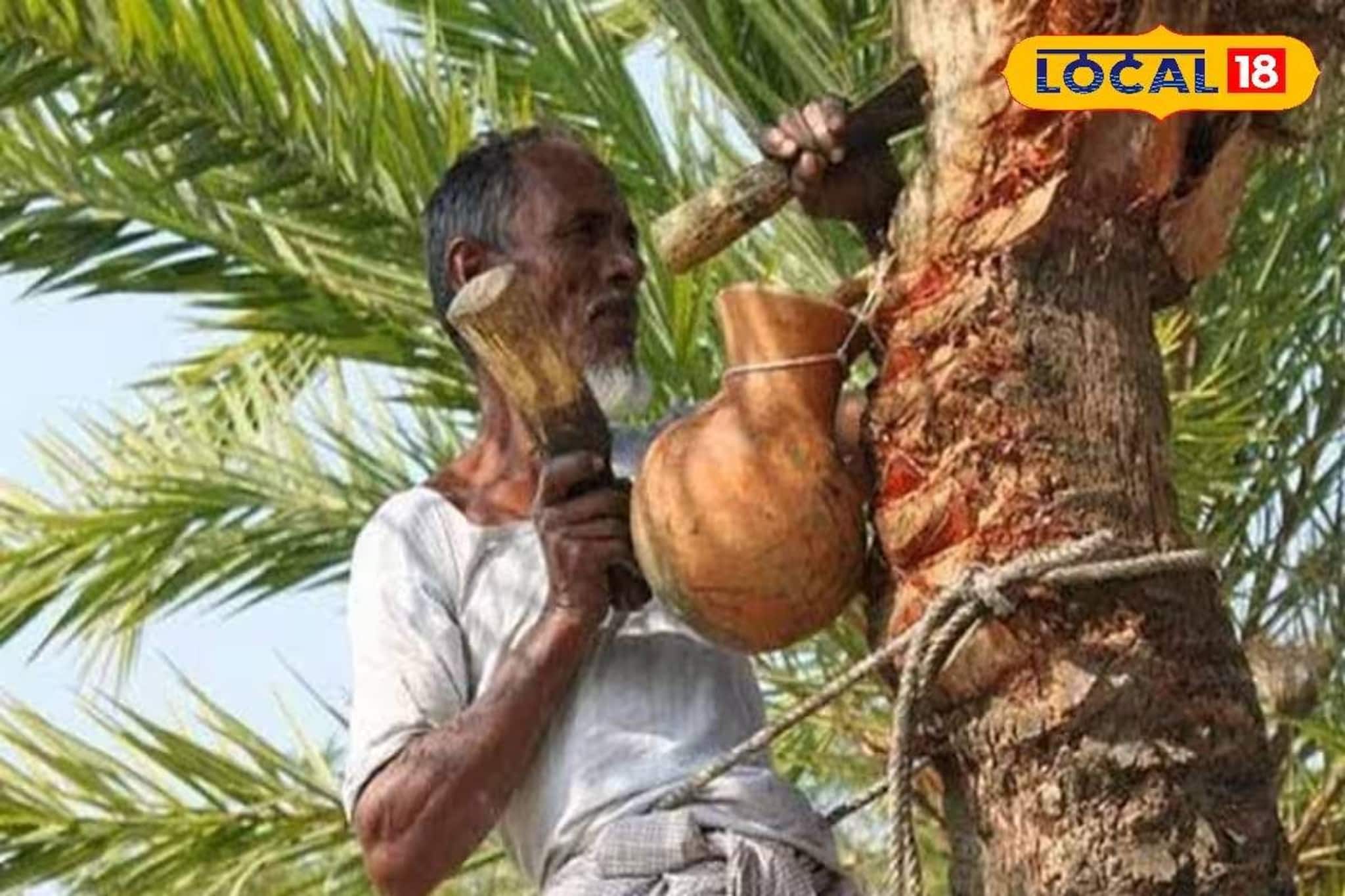 নিপা-আতঙ্কের আবহে খেজুর গুড় খাওয়া কি নিরাপদ, বিশেষজ্ঞরা কী বলছেন দেখুন