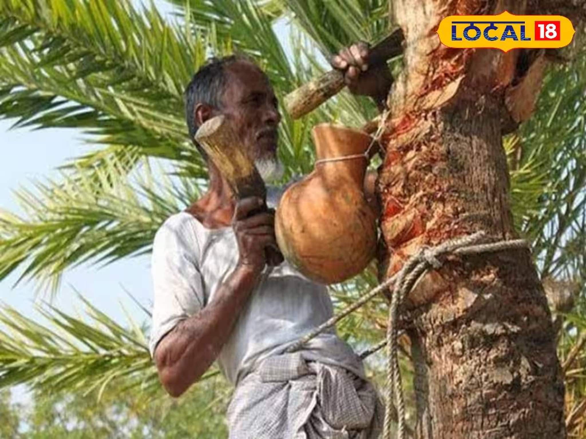 নিপা-আতঙ্কের আবহে খেজুর গুড় খাওয়া কি নিরাপদ, বিশেষজ্ঞরা কী বলছেন দেখুন