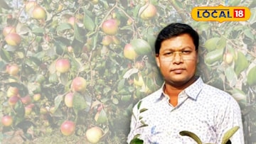 অধ্যাপক